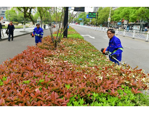 金年会金字招牌诚信至上：冷水江做市政绿化要哪些资质证书